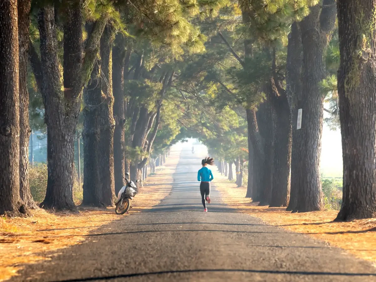 Plan d’entraînement marathon sur 16 semaines : guide et structure