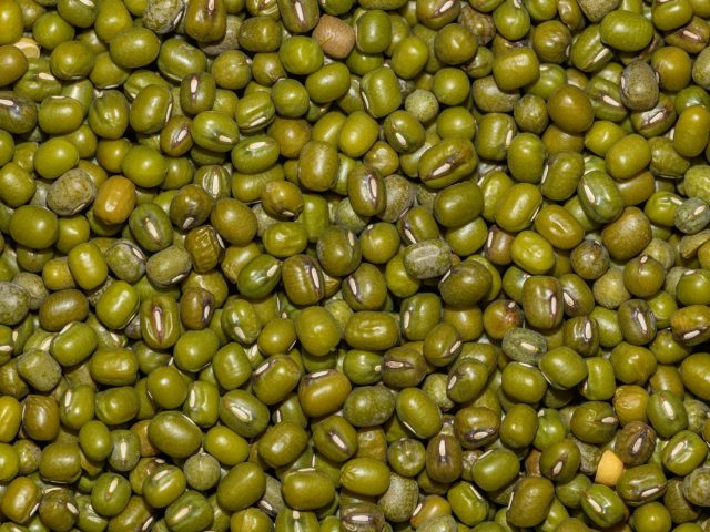 Haricots blancs : plus de fer qu’un steak, l’atout santé méconnu ?