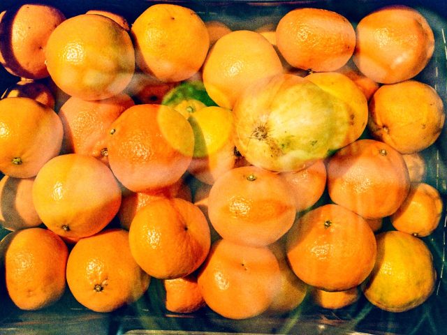 Dès maintenant, les shiratakis de konjac : l’alternative aux pâtes qui change tout