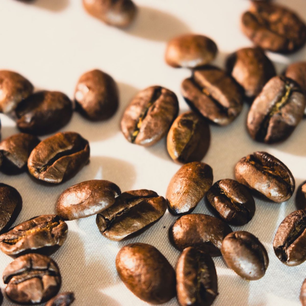 Les bienfaits du café sur la santé selon le Dr Manuel Viso