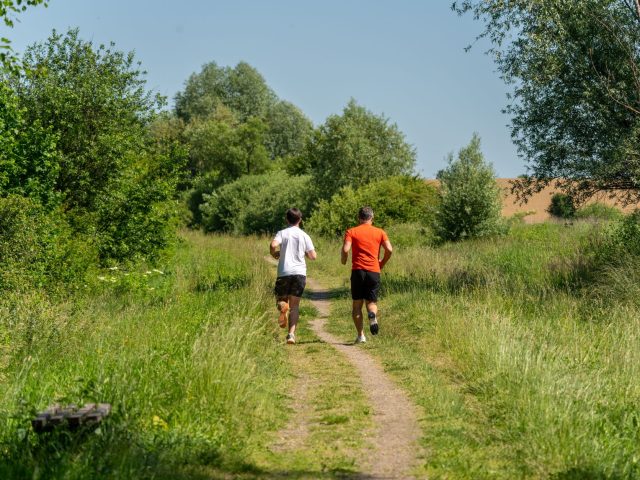 Transformez votre entraînement : l’incroyable pouvoir de la zone 2